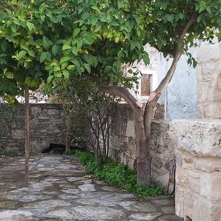 Small Traditional House In Asfendiou Kos Agios Dimitrios  Eksteriør billede