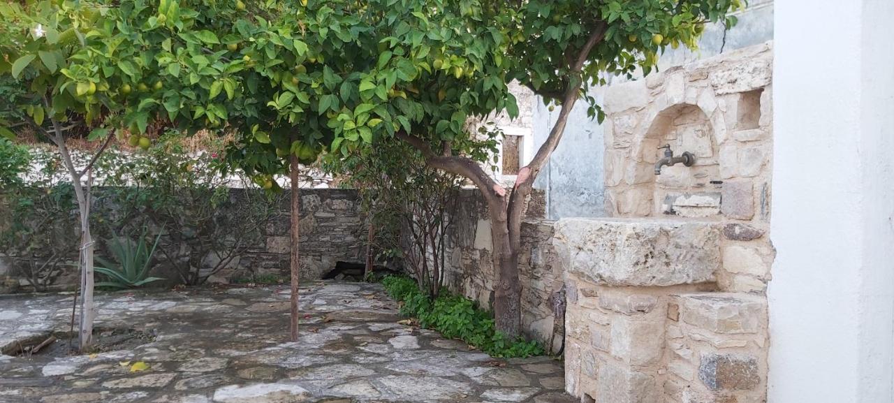 Small Traditional House In Asfendiou Kos Agios Dimitrios  Eksteriør billede